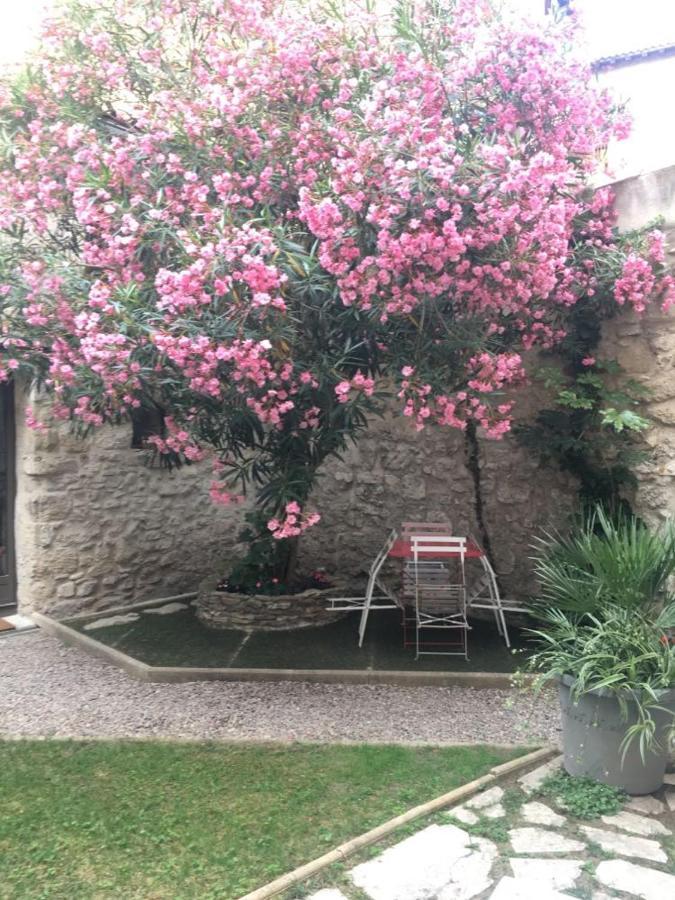 Apartment Petite Maison Sur Jardin Secret